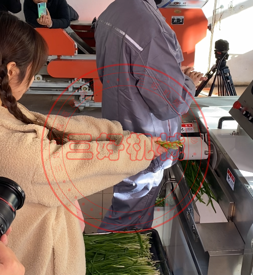 切菜機(jī)切菜效果