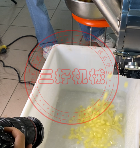 切菜機(jī)切丁效果