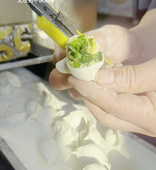 為啥有些餃子機可以包素餡，有些包不了？